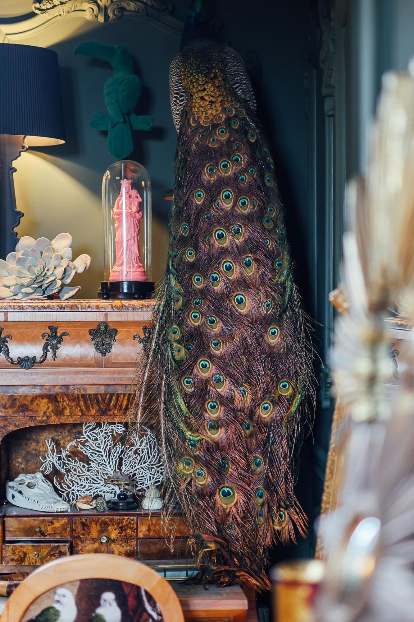 圣马洛Malouiniere Guillaume Onffroy住宿加早餐旅馆 外观 照片